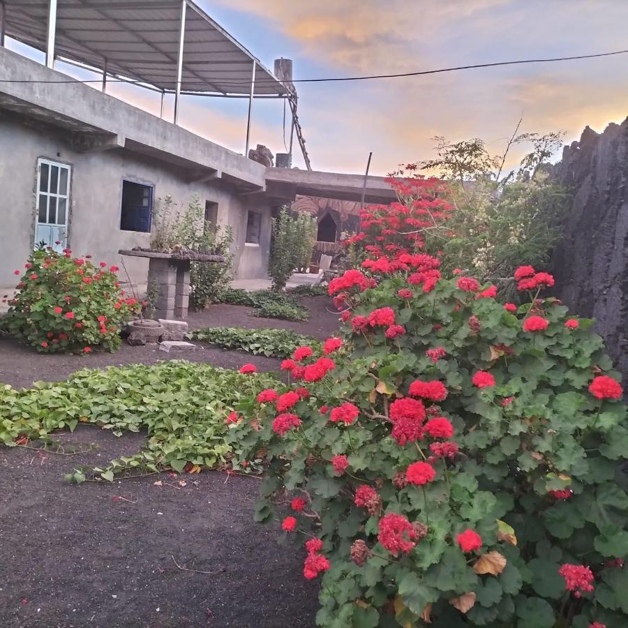 Pensao Repouso Alegre Turismo E Aventura Acomodação com café da manhã Portela Exterior foto